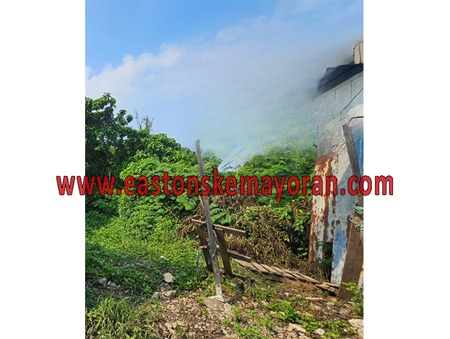 Klari-KY-014184