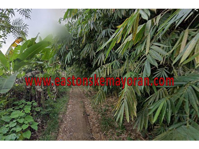 Purwakarta-KY-014179