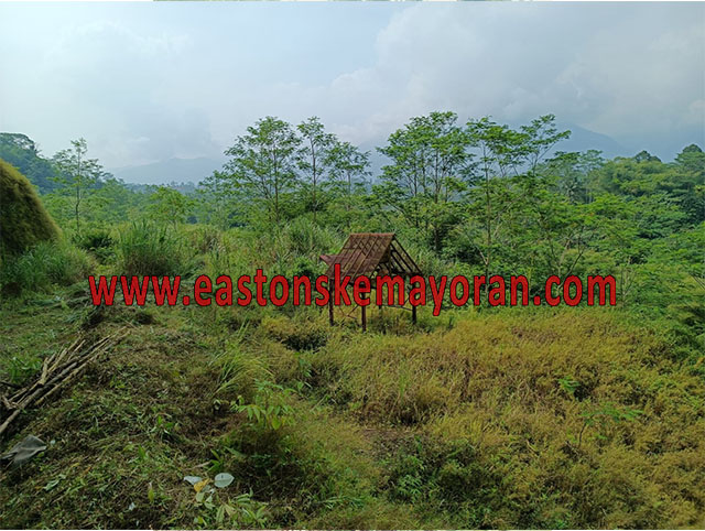 Kasomalang-KY-014221