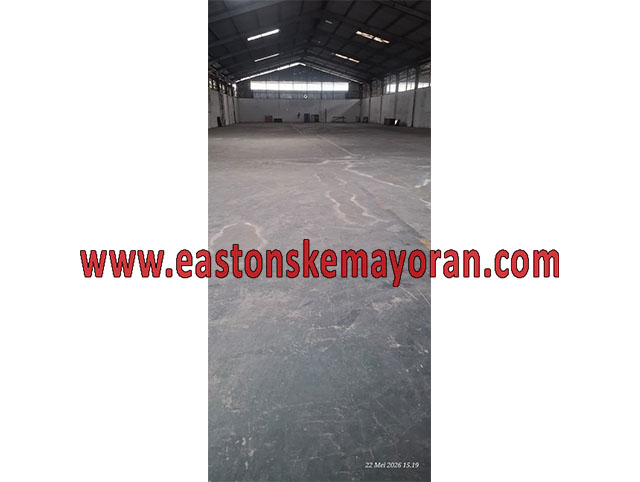 Kelapa gading-KY-014296