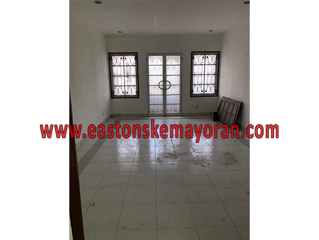 Kelapa gading-KY-014387