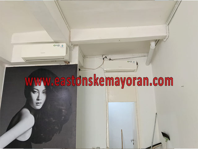 Kelapa gading-KY-014388