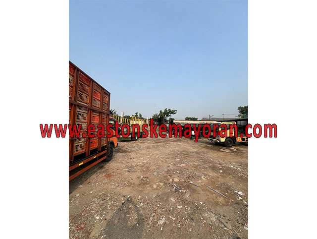 Kalideres-KY-014537