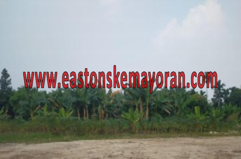 Dijual Kavling Pinang Sebatang Timur
